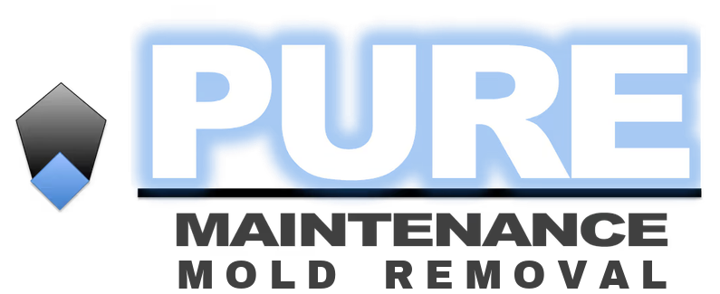 Pure Maintenance Mold Removal